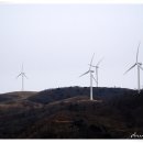 거산목장 이미지