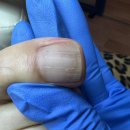 뷰티푸스켓츠 이미지