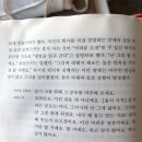 백래시 (누가 페미니즘을 두려워하는가?) / 수전팔루디