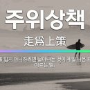 주위상책 이미지