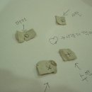 짝때기2 Daum카페