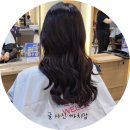 보그헤어비스 | 구로역미용실 이가자 헤어비스 레드바이올렛 염색 후기