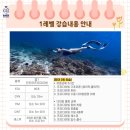하나유라이프코칭센터 | 광주 프리다이빙 자격증, 백프리다이빙에서 하루만에 취득한 후기