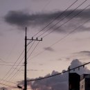 노을약국 이미지