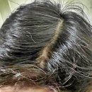 참빛의원 이미지