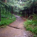 서리풀공원1-2 이미지