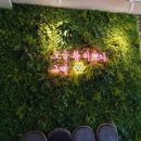 카페811 이미지