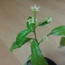 풍전약국 이미지