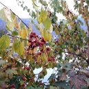 하1리경로당 이미지