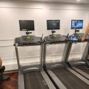 고마워 휘트니스 이미지