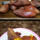 금천농원 이미지