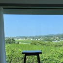 낮은정원 이미지