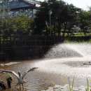 우리꽃식물원 이미지