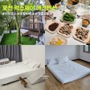 포천 럭스제이 애견펜션 | 포천 럭스제이 애견 펜션 푸들2 후기 개별 운동장 바베큐