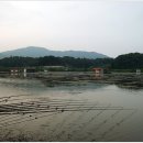 삼성지낚시터 이미지