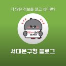 신명나는 난타 | [서포터즈]서울벚꽃나들이 2026 서대문봄빛축제 후기