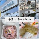 오롯이케이크