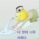 승호헤어스토리 | 인생사새옹지마..를 아세요?