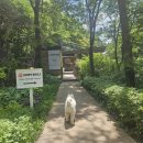 폭포뷰 아차산 숲속 카페 코피발리 KOPI BALI 아차산점 내돈내산 후기