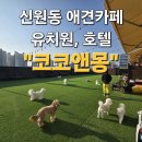 코코앤몽 이미지