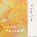 제주순수 이미지