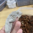 뱀뱀렙타일 - 노원구 한글비석로 444 | 뱀뱀렙타일
