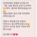장재로 | 김해 한림면 애견운동장 장재로167 대관 후기