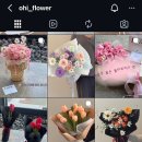 오하이플라워