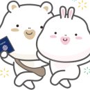 좋아메디컬투어 이미지