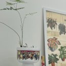 헤르바플로리스트공예학원 이미지