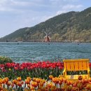 두류공원관리사무소 | 대구 수목원 벚꽃 튤립 4월 꽃구경 산책코스