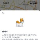 카카오펫 이미지