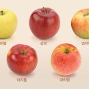 문정훈