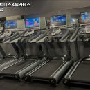 오브휘트니스