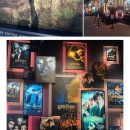 해리시장 이미지