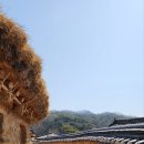 월항면 마을회관 | 경북 성주 가볼만한 곳 연모 촬영지 한개마을 홍매화 구경