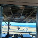 짜장천국 | 마라도 맛집 별장톳 해물짜장 후기