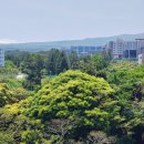 세븐스타코인 노래연습장(제주삼화점) | 제주도 코로나19 확진 증가 일로