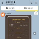 카카오트리(CACAOTREE) 네이버블로그