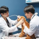 미소동물병원 이미지