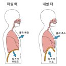 불당슈퍼