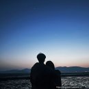 팔봉갯벌체험야영장 | [태안 캠핑장 추천] 갯벌 체험과 감성 노을을 한 번에, '팔봉갯벌체험캠핑장' 사이트 정보
