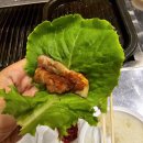 태안 고든남글램핑 셀프바베큐 감성글램핑맛집 찐내돈내산 리뷰!!