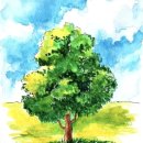 아이그루유치원 이미지