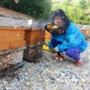 서암농장 이미지