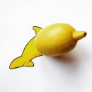 재미있는 상상 이미지