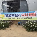 함평커피농장 | [전남/함평] 조카와 함께한 광주근교 '함평 바나나 생태나라' 방문 후기💕