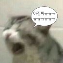 SHE&HE우리 | 로지텍 MX Master4 블루투스 마우스 후기(디자이너 마우스 추천)