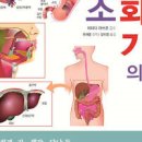 오른쪽 갈비뼈 아래 통증 이유 10가지 이미지