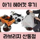 라브리지산동점 이미지